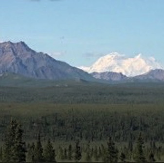 Screen Shot 2016-07-14 at 9.15.40 PM.jpg